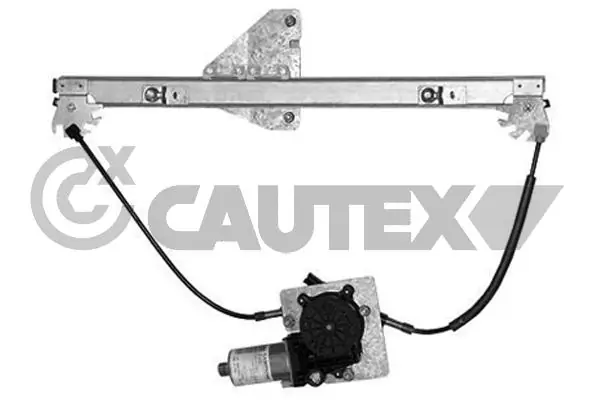 467295 Cautex
