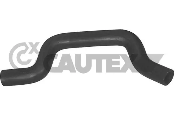 036404 Cautex