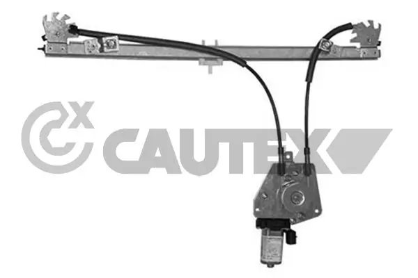 017309 Cautex