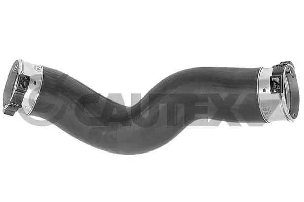 754468 Cautex
