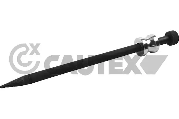756917 Cautex