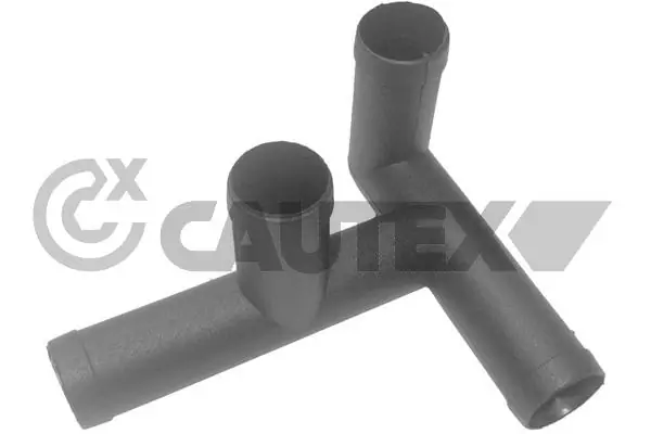 955146 Cautex