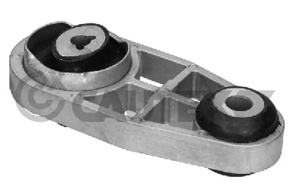 021507 Cautex