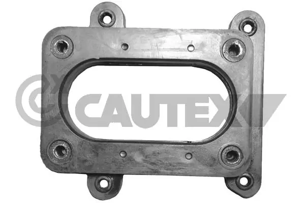 957008 Cautex