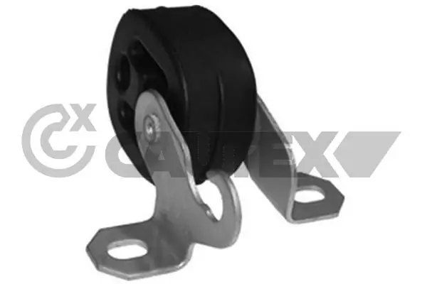 460500 Cautex