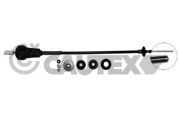 037102 Cautex