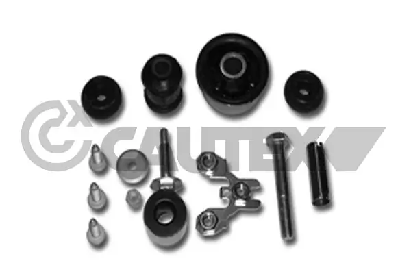 460104 Cautex