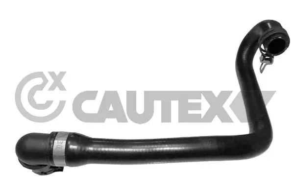 752831 Cautex