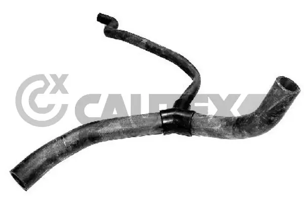 026549 Cautex