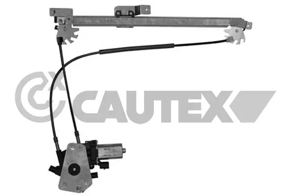 207057 Cautex