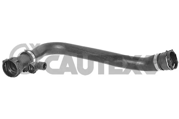 206019 Cautex