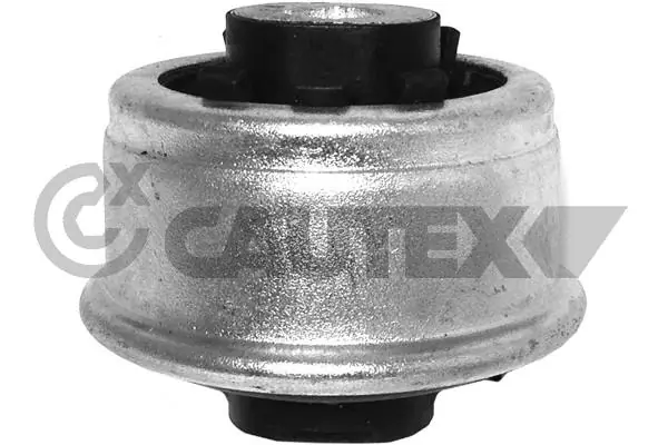 755502 Cautex