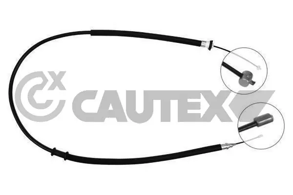 019006 Cautex