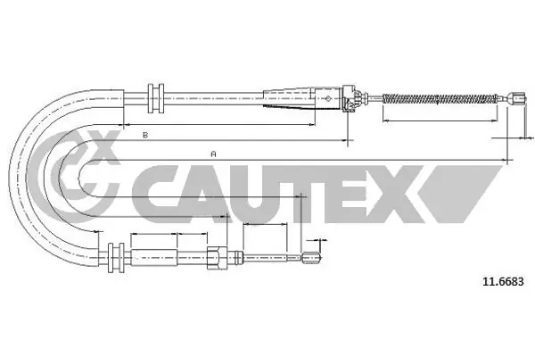 028481 Cautex