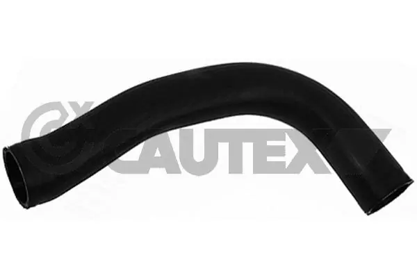 753080 Cautex