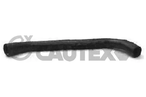 016343 Cautex