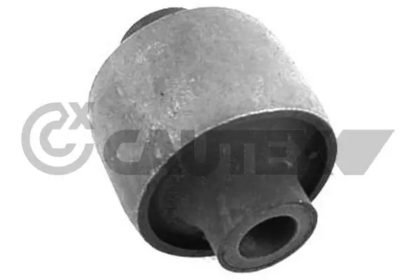 460196 Cautex