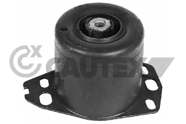 011258 Cautex