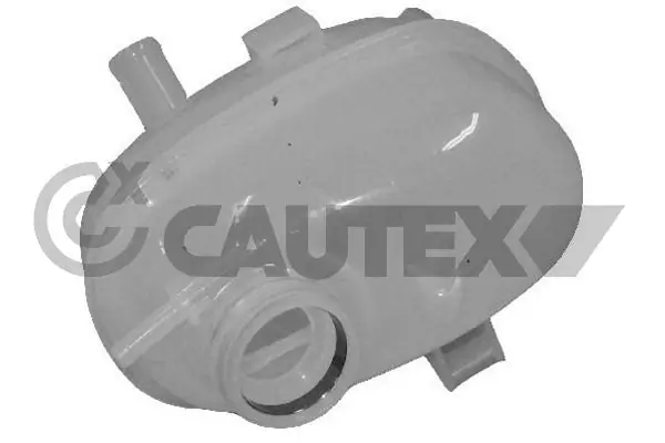 481062 Cautex