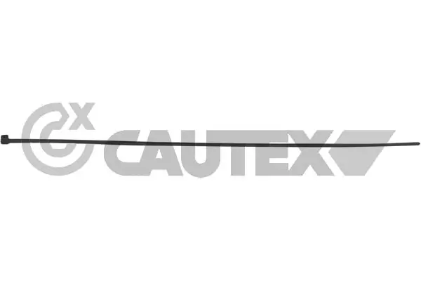 953008 Cautex
