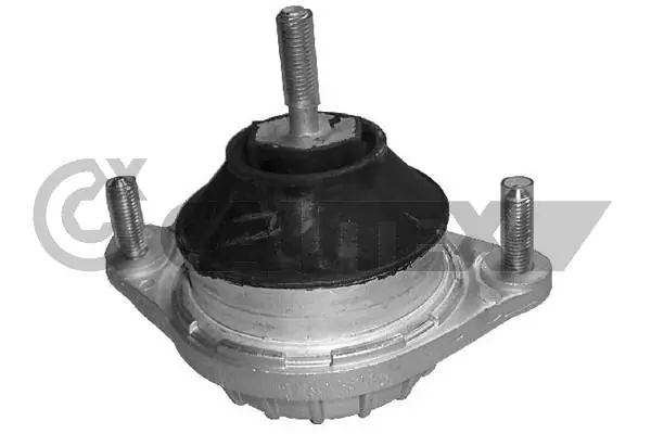 460156 Cautex