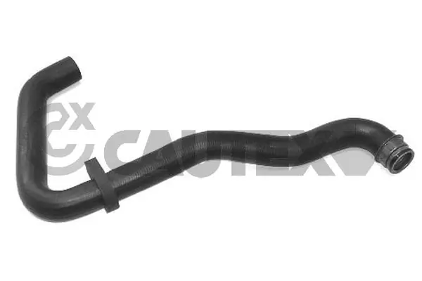 031068 Cautex
