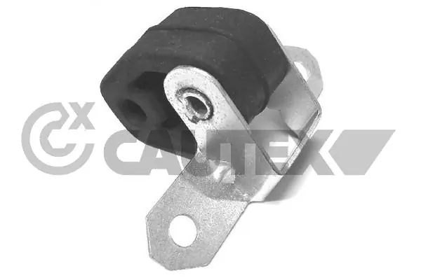 462406 Cautex