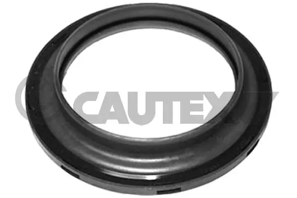 021310 Cautex