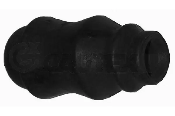 011051 Cautex