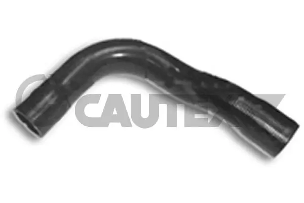 036428 Cautex