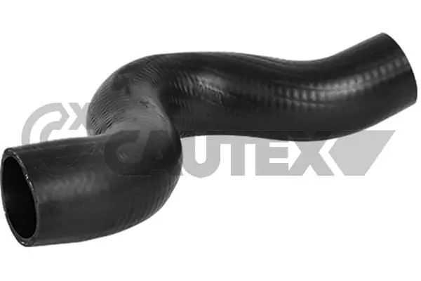 036787 Cautex