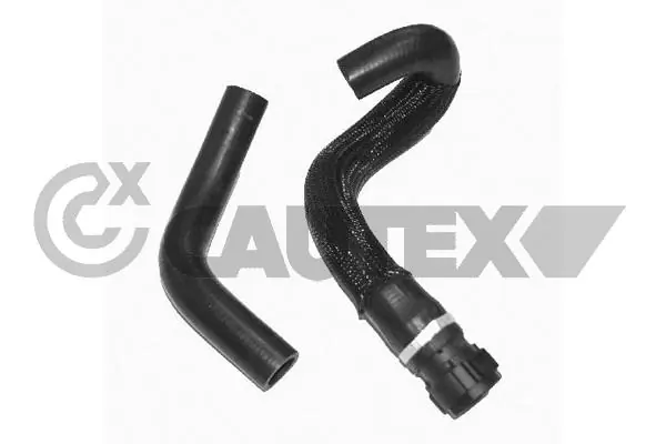 026796 Cautex