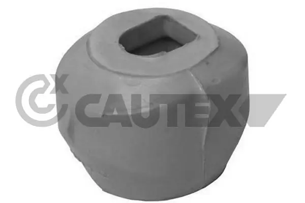 462470 Cautex