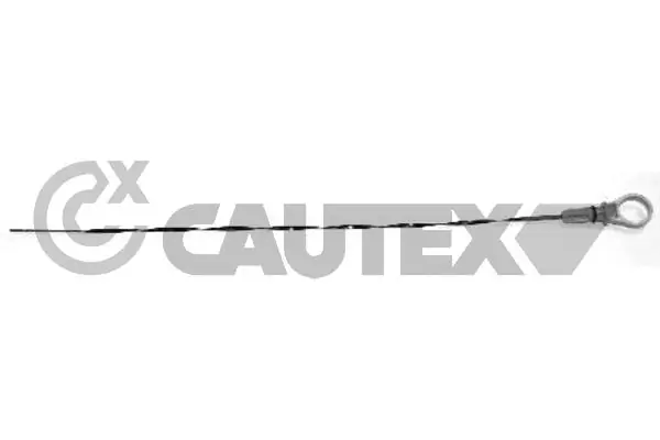 031399 Cautex