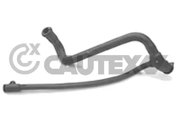 036007 Cautex