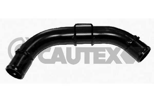 955338 Cautex