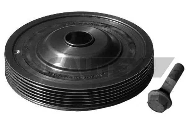 Polia de cambota para Renault Fluence  B3