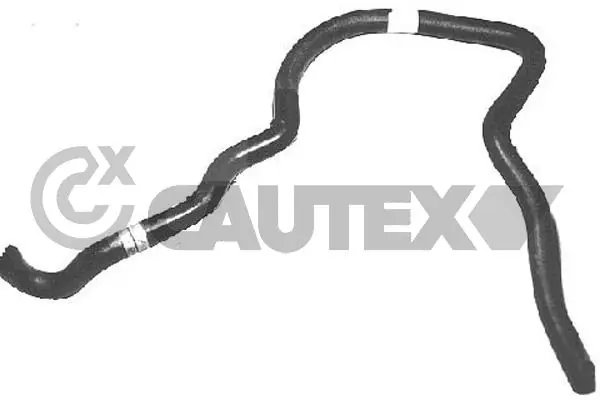 036102 Cautex