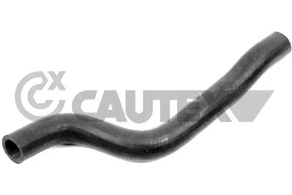 466699 Cautex