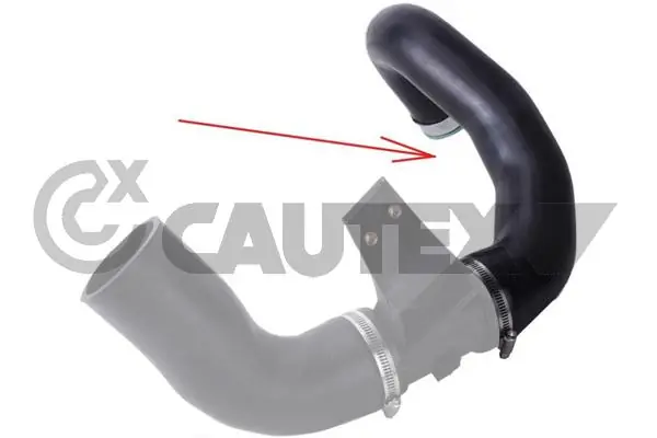 186730 Cautex
