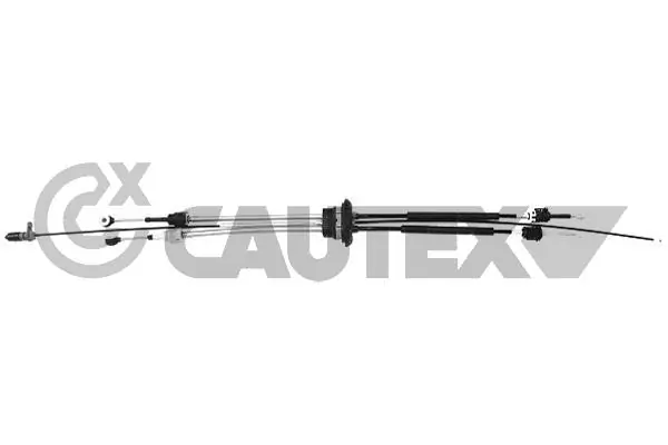 766120 Cautex