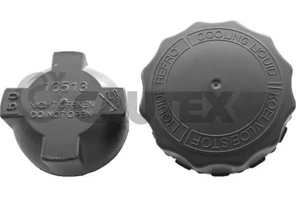 Compre Tampa (tampão) do tanque de expansão Renault Trucks MAGNUM 1