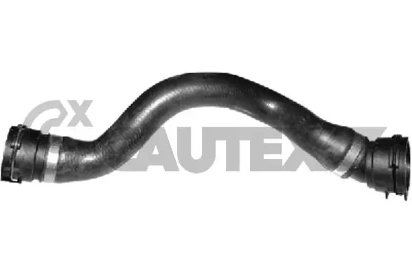 772451 Cautex