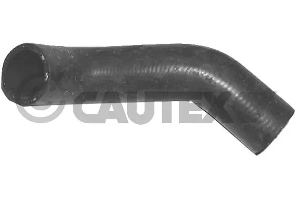 486091 Cautex