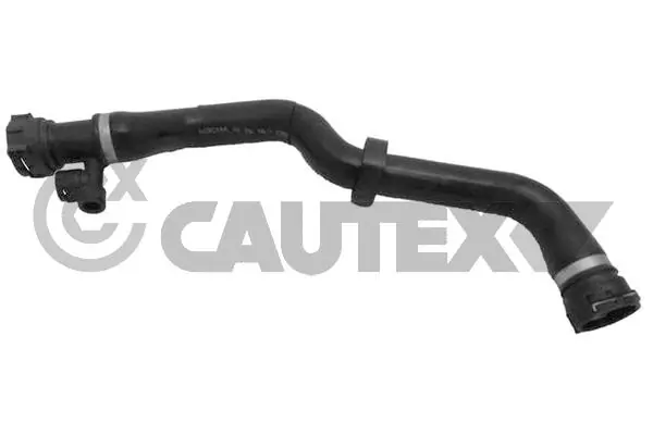 754109 Cautex