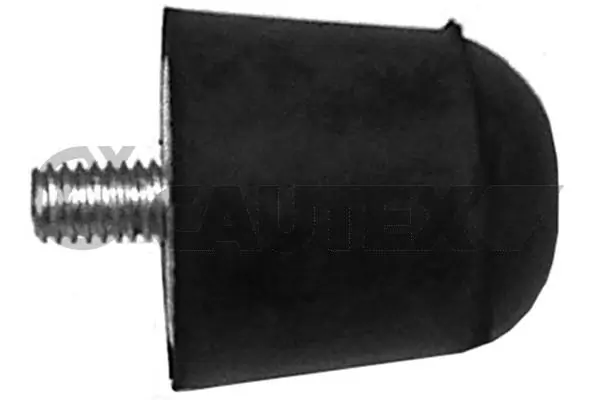 460446 Cautex