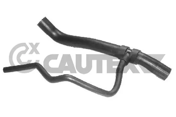 026559 Cautex