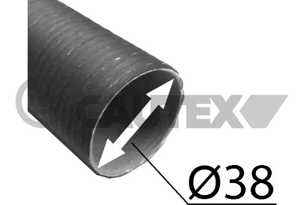 900335 Cautex