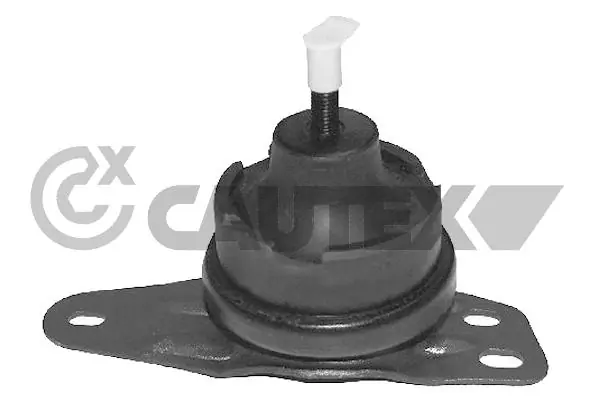 031575 Cautex