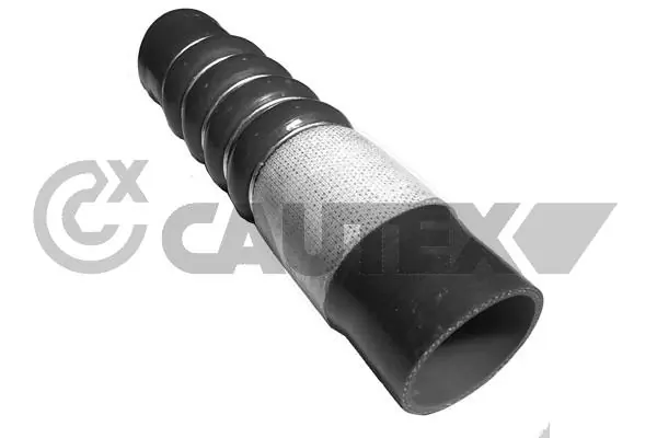 752979 Cautex